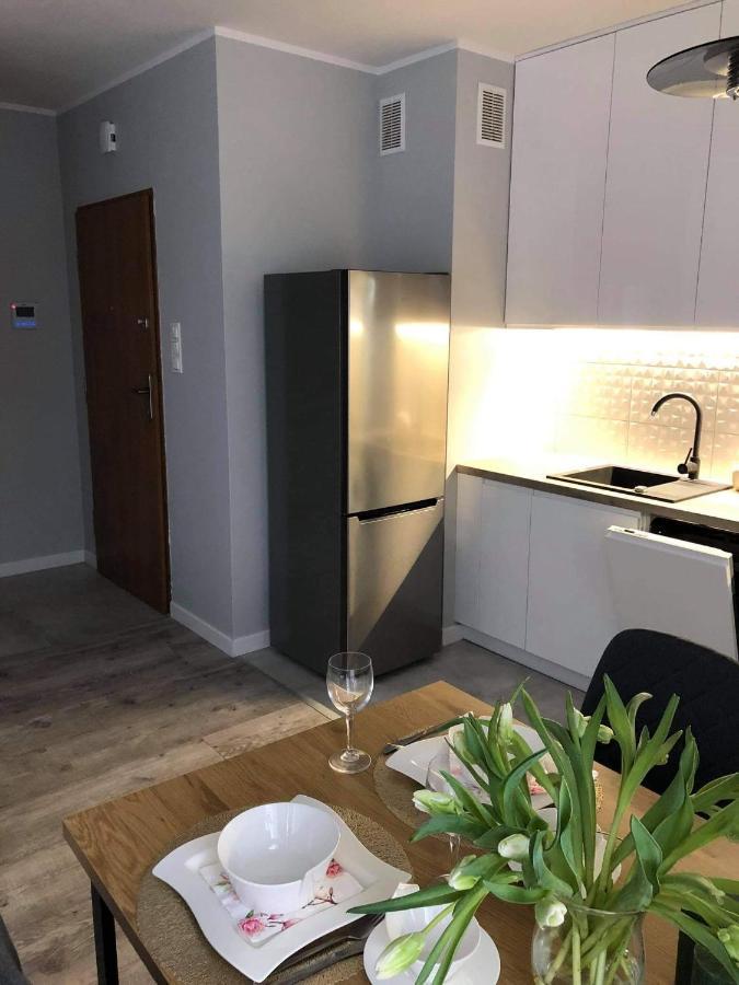 Apartament Stare Miasto Elblag Bagian luar foto